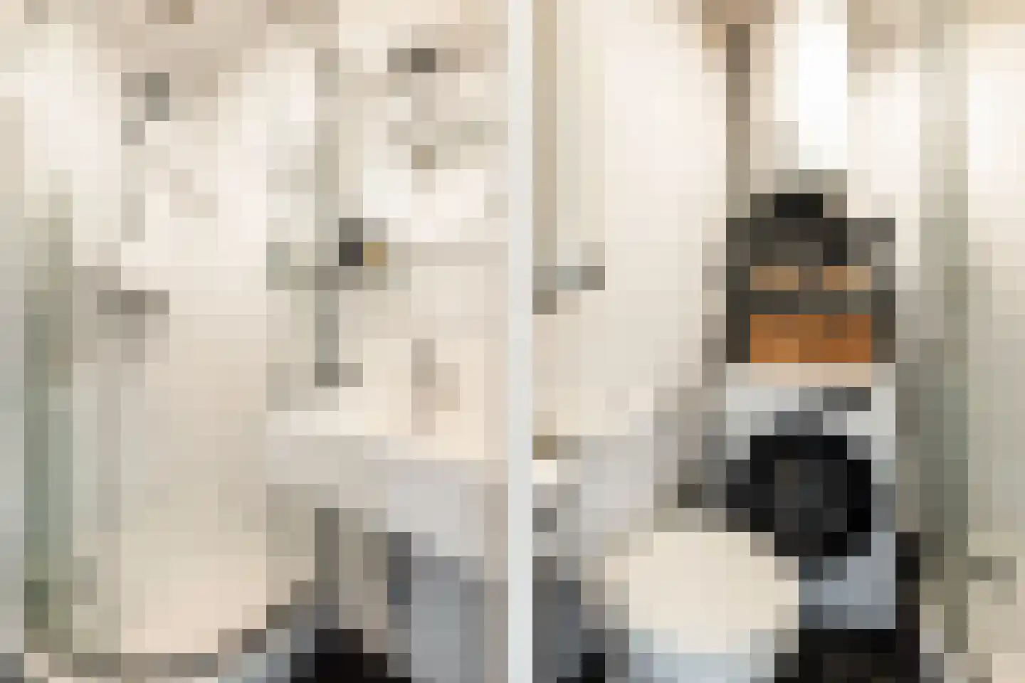 Rauwenhofflaan 18 Utrecht thumbnail 27