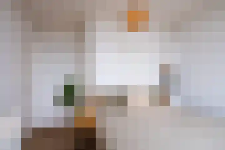 Rauwenhofflaan 208 Utrecht thumbnail 21