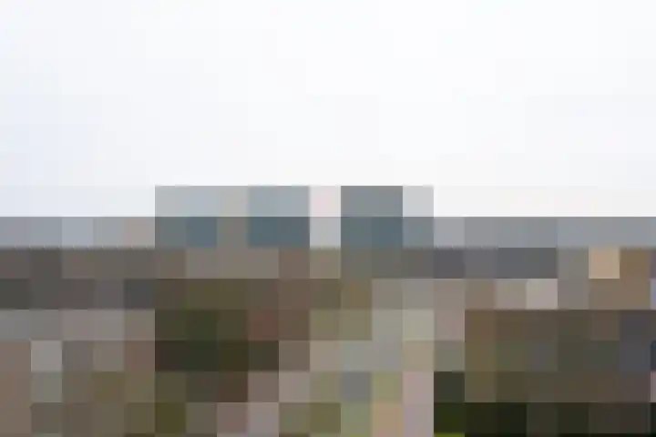 Rauwenhofflaan 208 Utrecht thumbnail 22