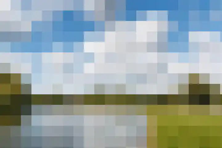 Rauwenhofflaan 208 Utrecht thumbnail 26