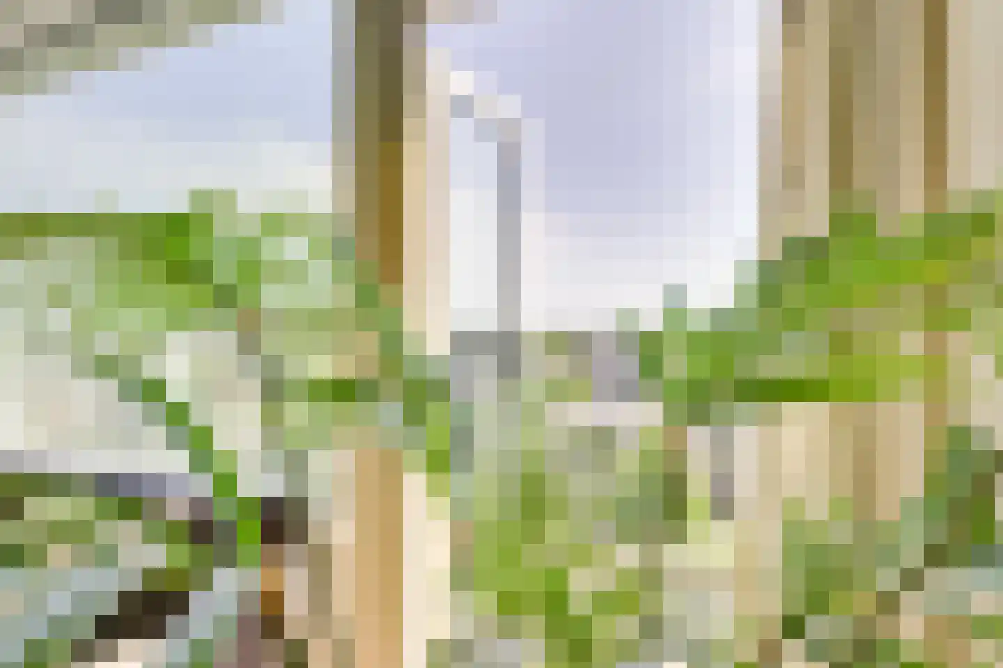 Rauwenhofflaan 222 Utrecht thumbnail 10