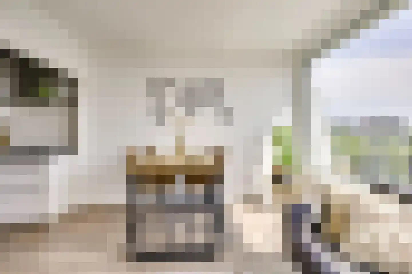 Rauwenhofflaan 222 Utrecht thumbnail 11