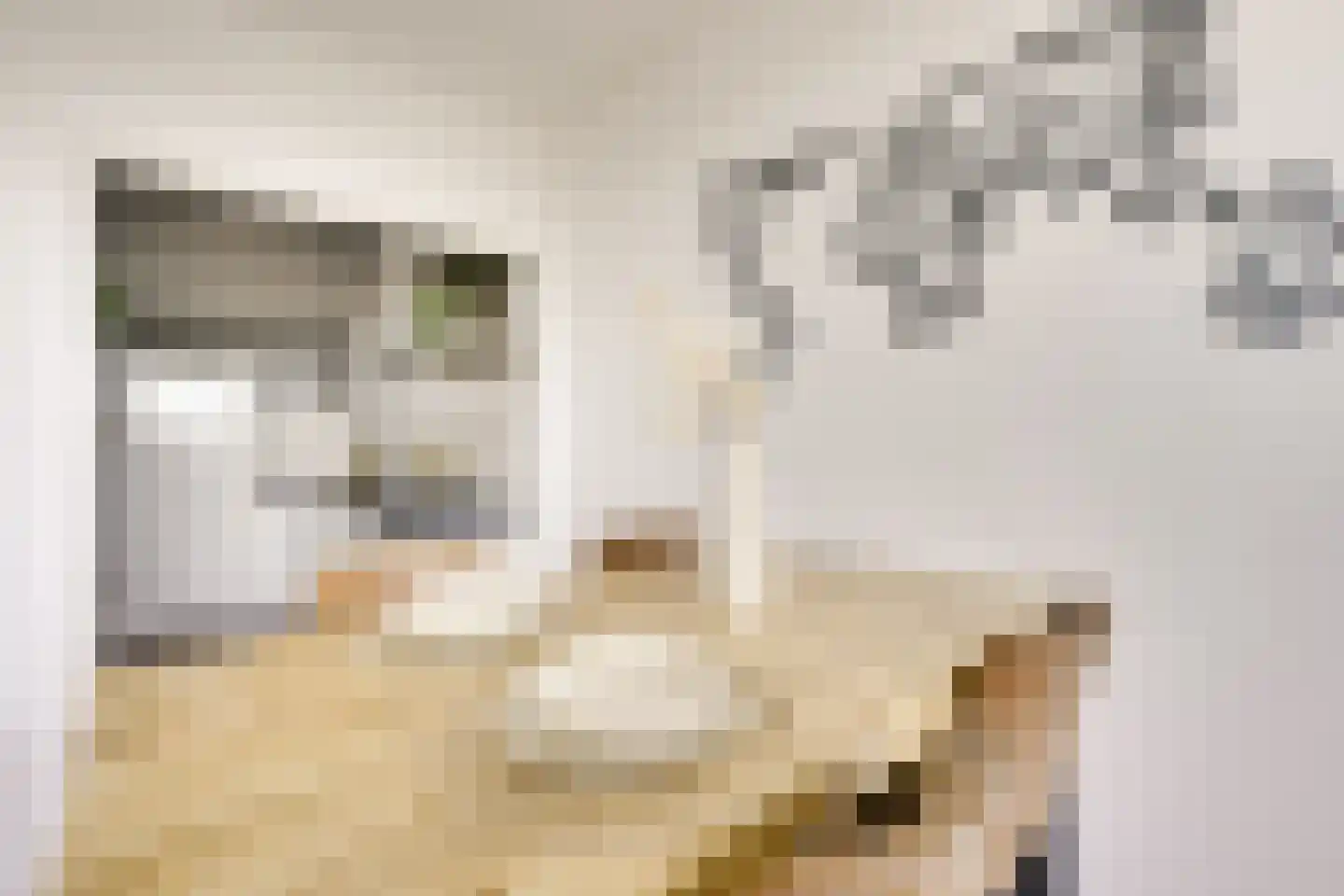 Rauwenhofflaan 222 Utrecht thumbnail 13