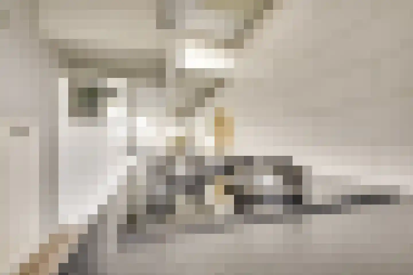 Rauwenhofflaan 222 Utrecht thumbnail 15
