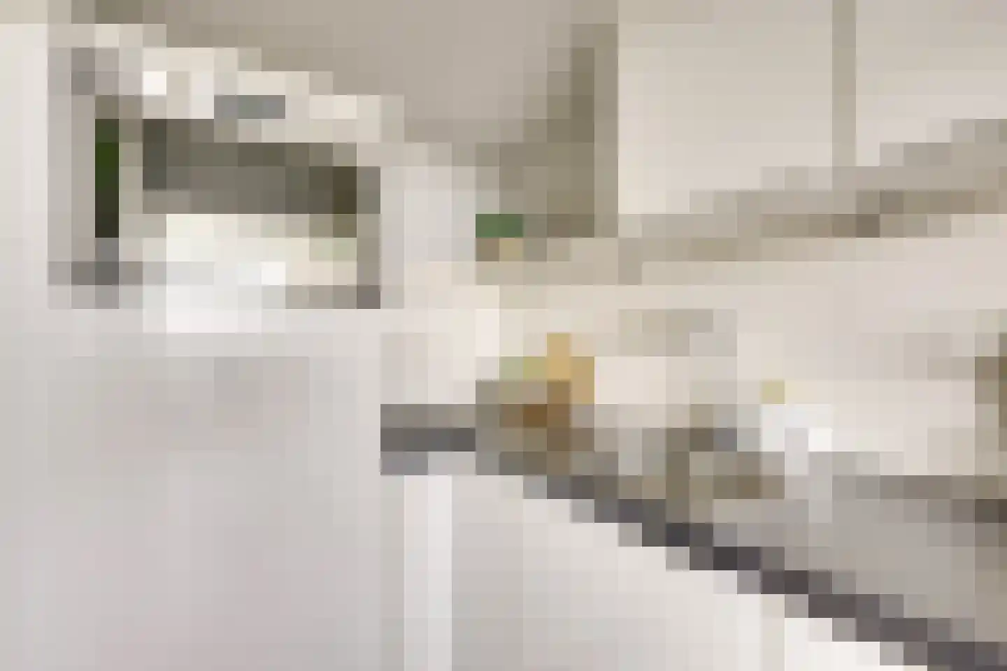 Rauwenhofflaan 222 Utrecht thumbnail 16