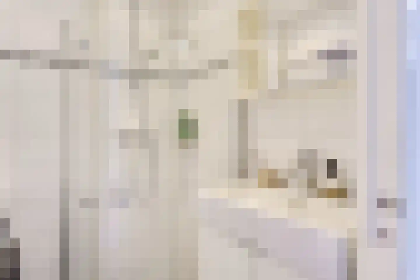 Rauwenhofflaan 222 Utrecht thumbnail 24