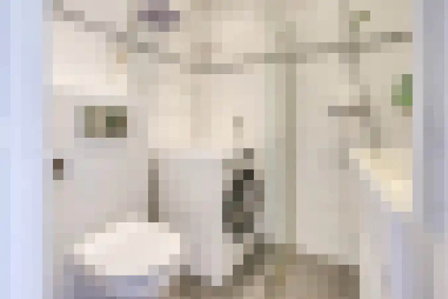 Rauwenhofflaan 222 Utrecht thumbnail 26