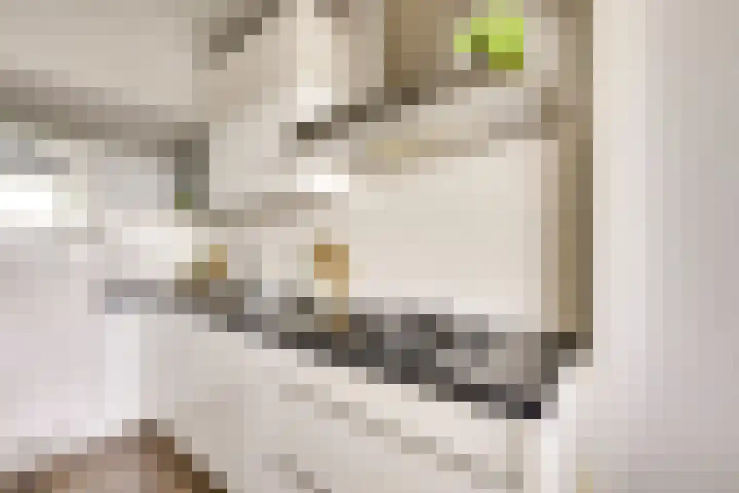 Rauwenhofflaan 222 Utrecht thumbnail 4