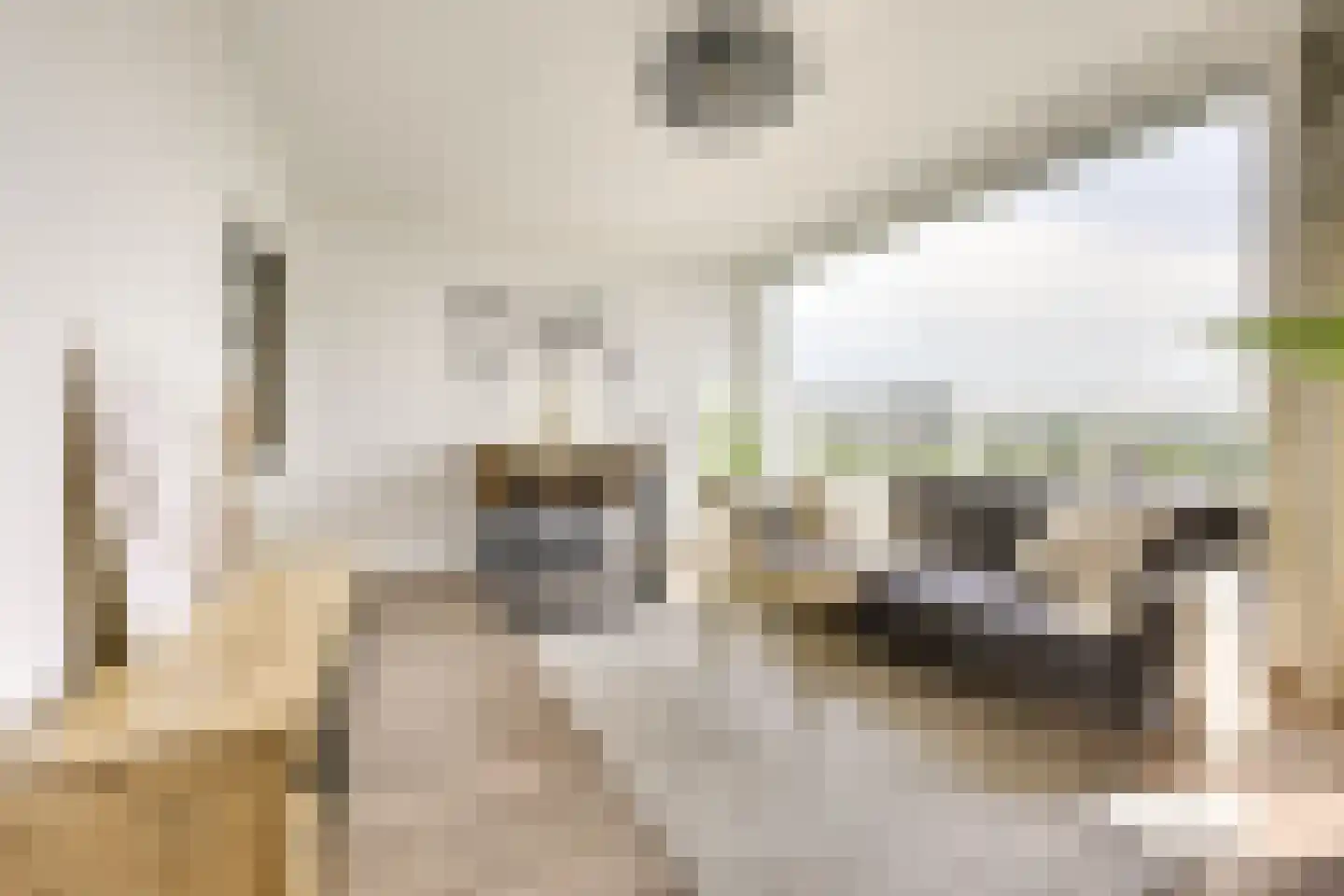 Rauwenhofflaan 222 Utrecht thumbnail 5