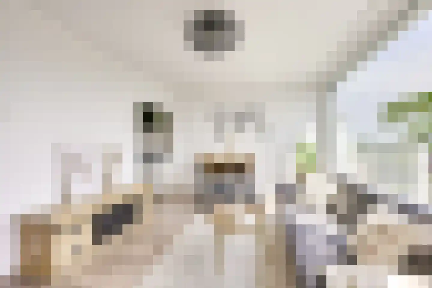 Rauwenhofflaan 222 Utrecht thumbnail 9