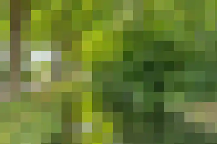 Rauwenhofflaan 24 Utrecht thumbnail 15