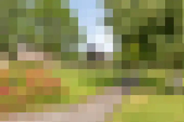 Rauwenhofflaan 24 Utrecht thumbnail 16