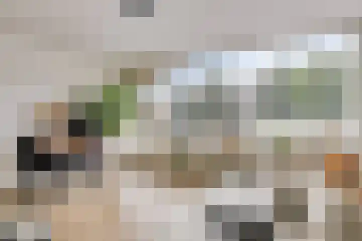 Rauwenhofflaan 24 Utrecht thumbnail 4