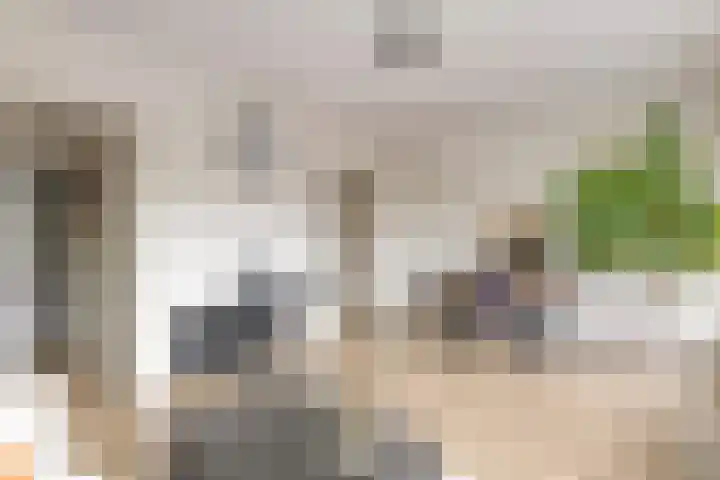 Rauwenhofflaan 24 Utrecht thumbnail 6