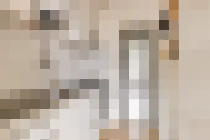 Rauwenhofflaan 24 Utrecht thumbnail 7