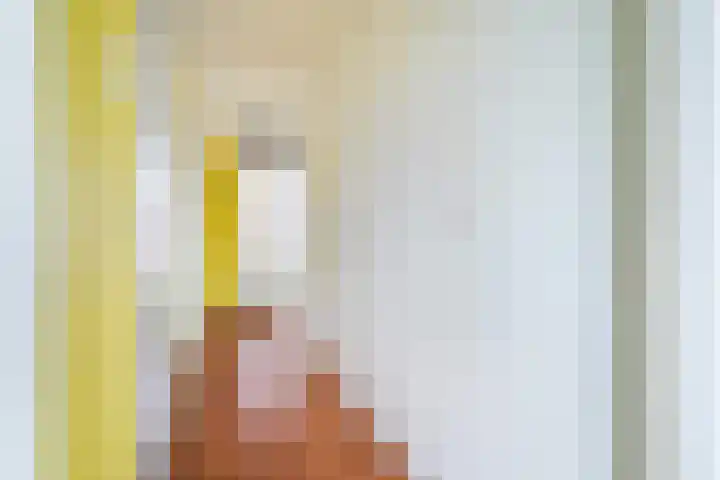 Rauwenhofflaan 76 Utrecht thumbnail 10