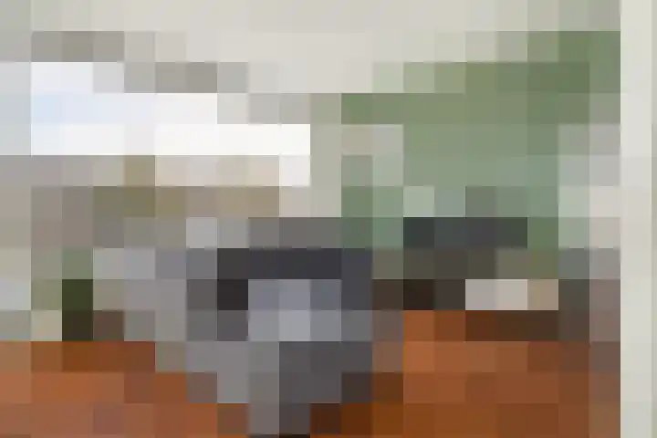 Rauwenhofflaan 76 Utrecht thumbnail 11