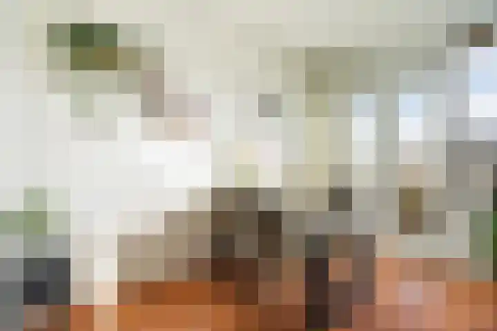 Rauwenhofflaan 76 Utrecht thumbnail 15