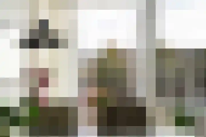Rauwenhofflaan 76 Utrecht thumbnail 16