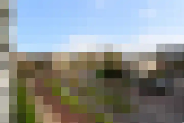 Rauwenhofflaan 76 Utrecht thumbnail 20