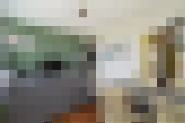 Rauwenhofflaan 76 Utrecht thumbnail 22