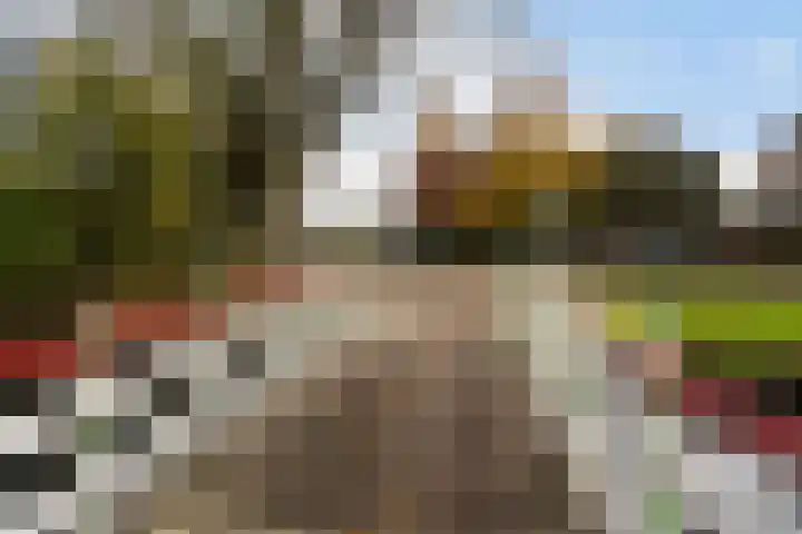 Rauwenhofflaan 76 Utrecht thumbnail 46