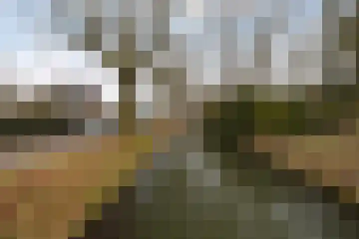Rauwenhofflaan 76 Utrecht thumbnail 49