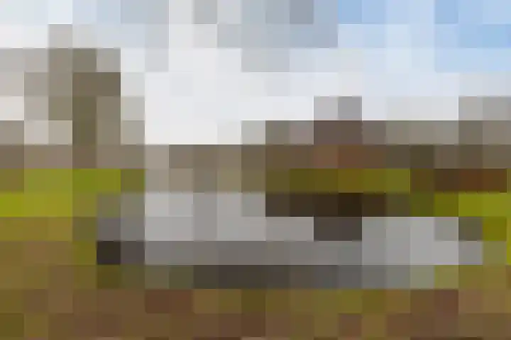 Rauwenhofflaan 76 Utrecht thumbnail 50