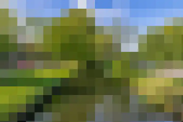 Rauwenhofflaan 96 Utrecht thumbnail 33