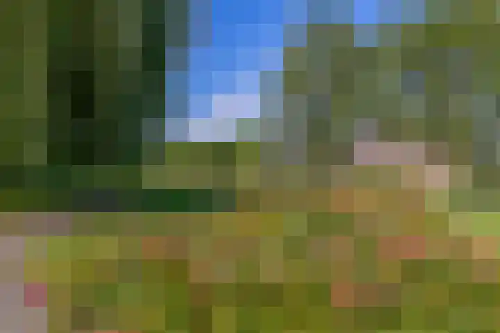Rauwenhofflaan 96 Utrecht thumbnail 34