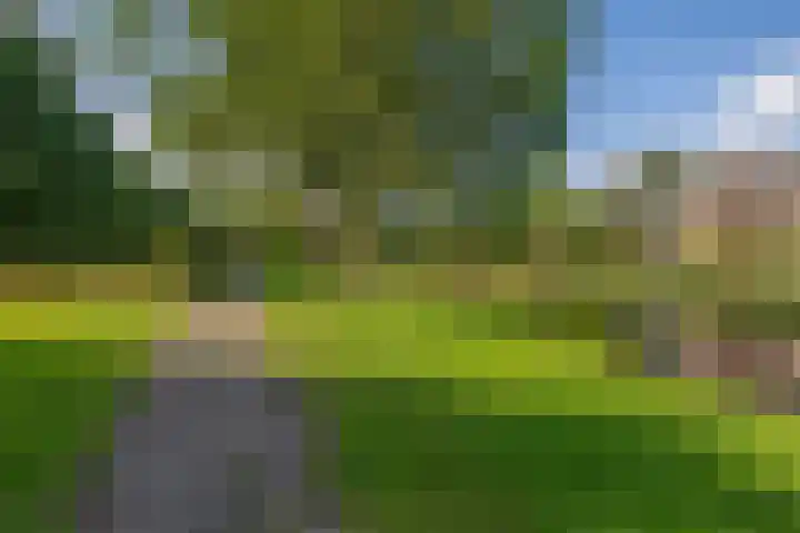 Rauwenhofflaan 96 Utrecht thumbnail 36