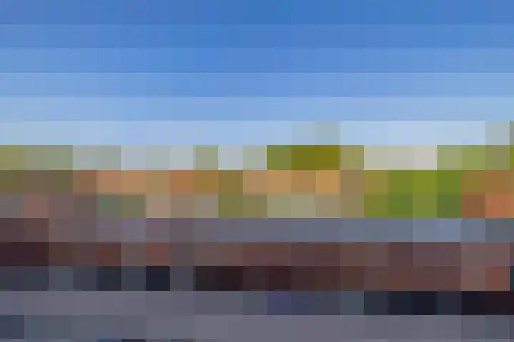 Rauwenhofflaan 96 Utrecht thumbnail 8