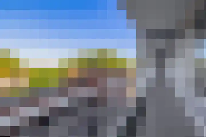 Rauwenhofflaan 96 Utrecht thumbnail 9