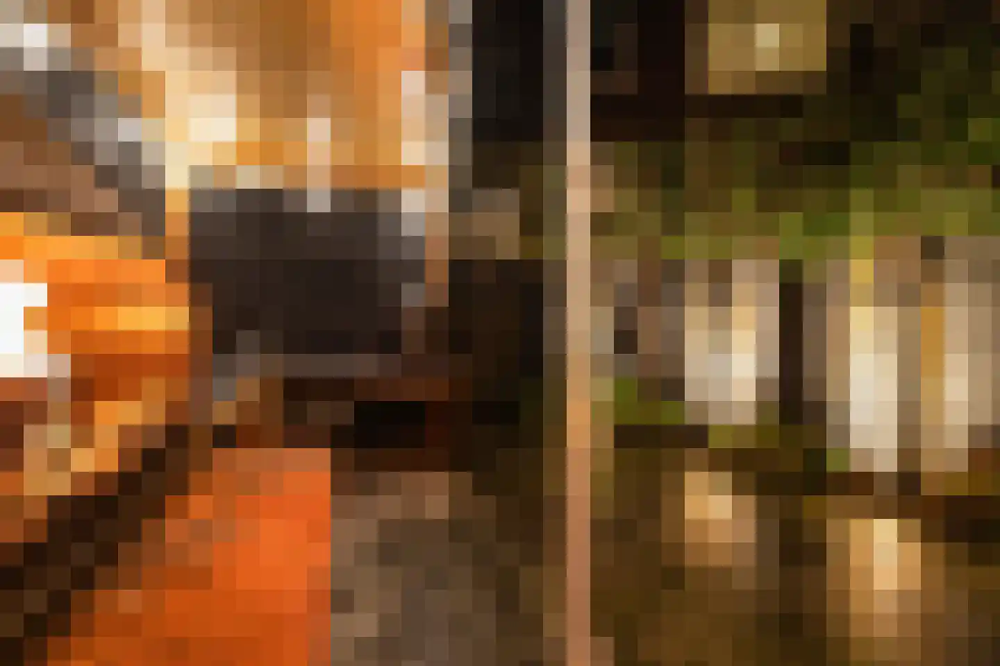 Rauwenhoffstraat 13 A Rotterdam thumbnail 18