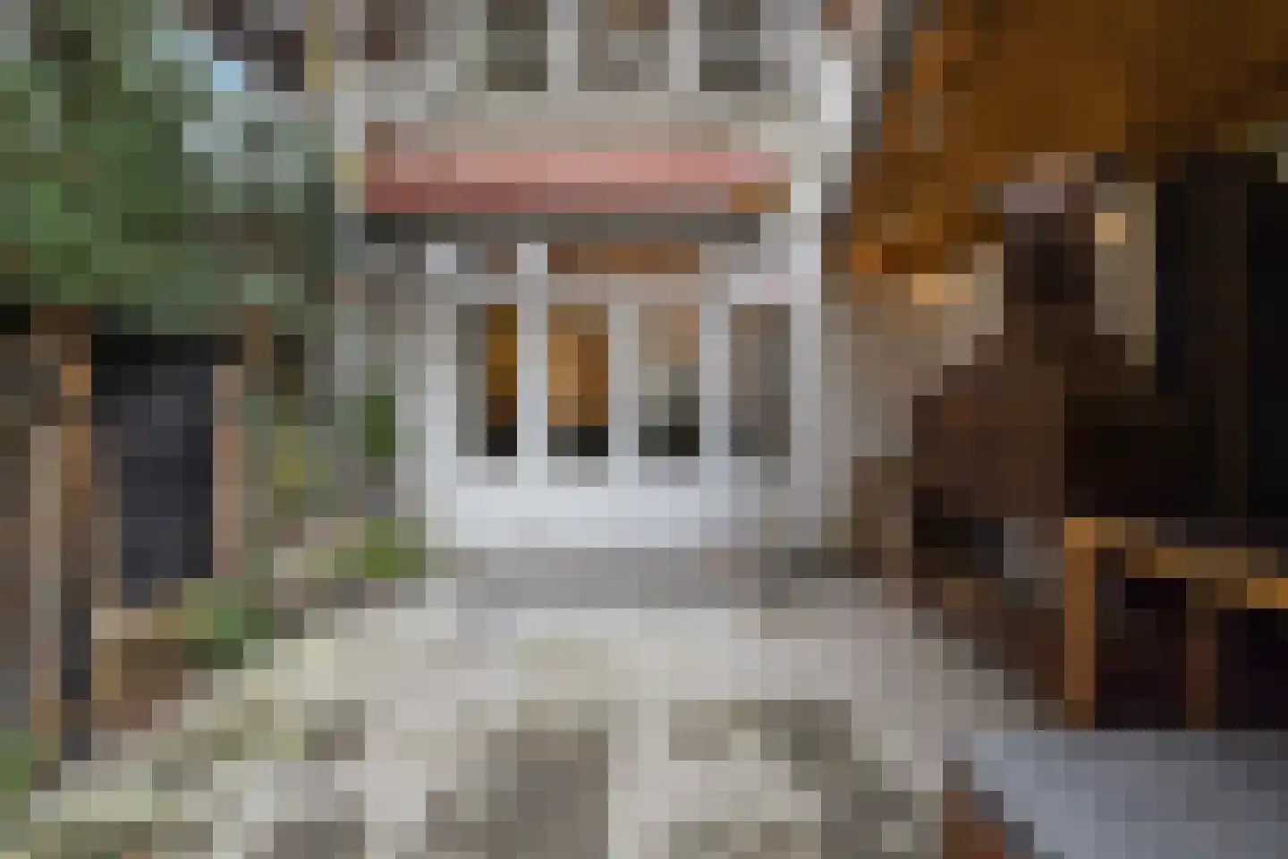 Rauwenhoffstraat 13 A Rotterdam thumbnail 35