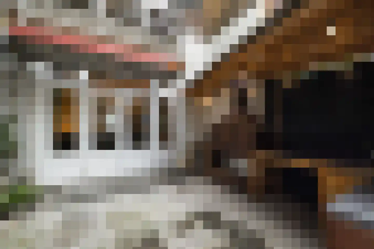 Rauwenhoffstraat 13 A Rotterdam thumbnail 37