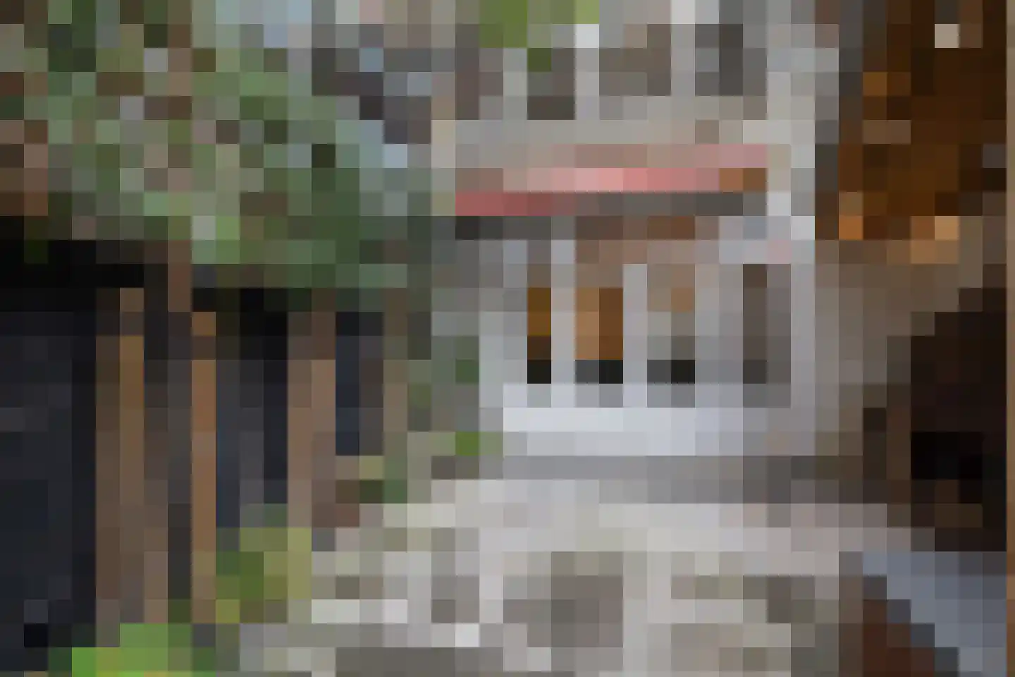 Rauwenhoffstraat 13 B Rotterdam thumbnail 36