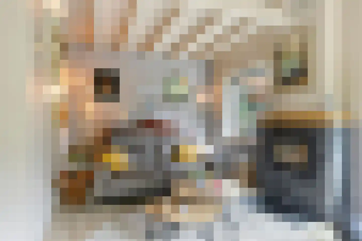 Rauwenhoffweg 8 Epe thumbnail 11