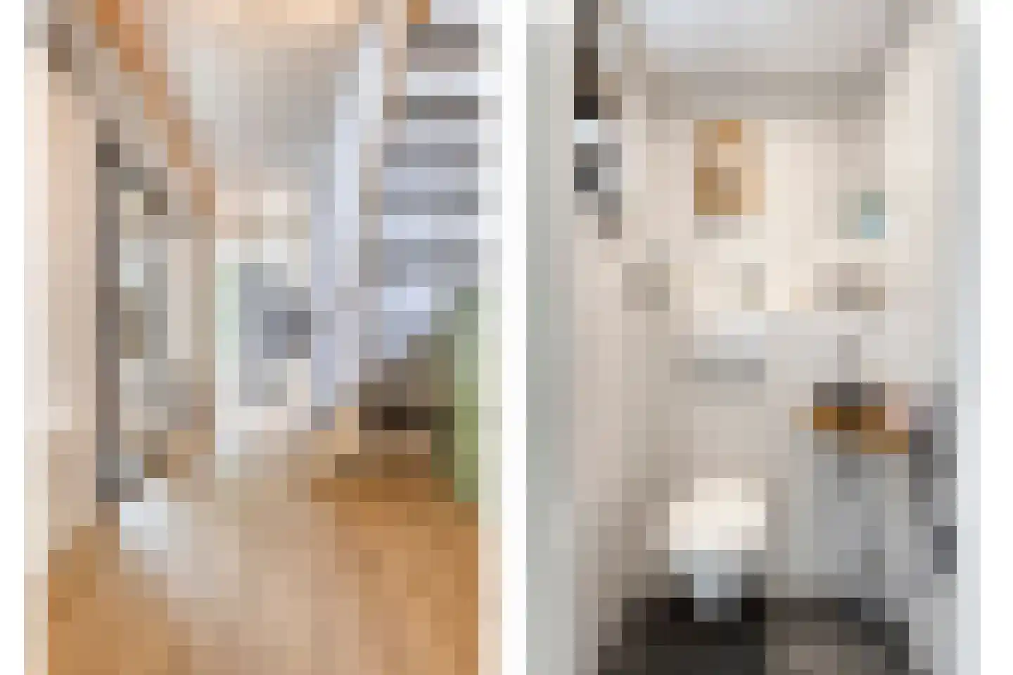 Rauwenhoffweg 8 Epe thumbnail 12
