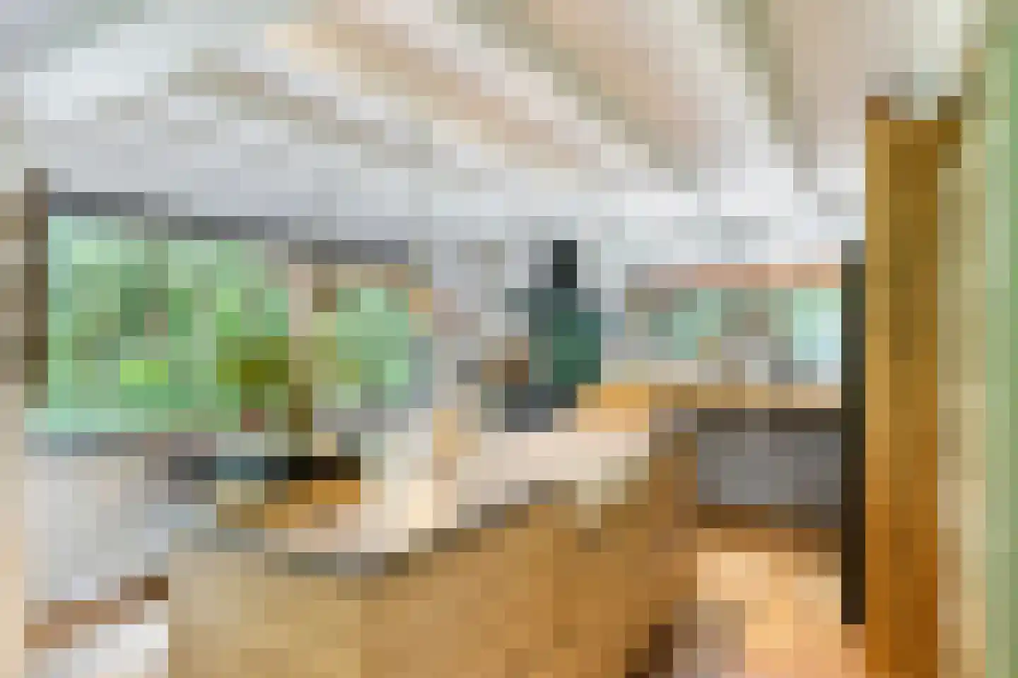 Rauwenhoffweg 8 Epe thumbnail 13