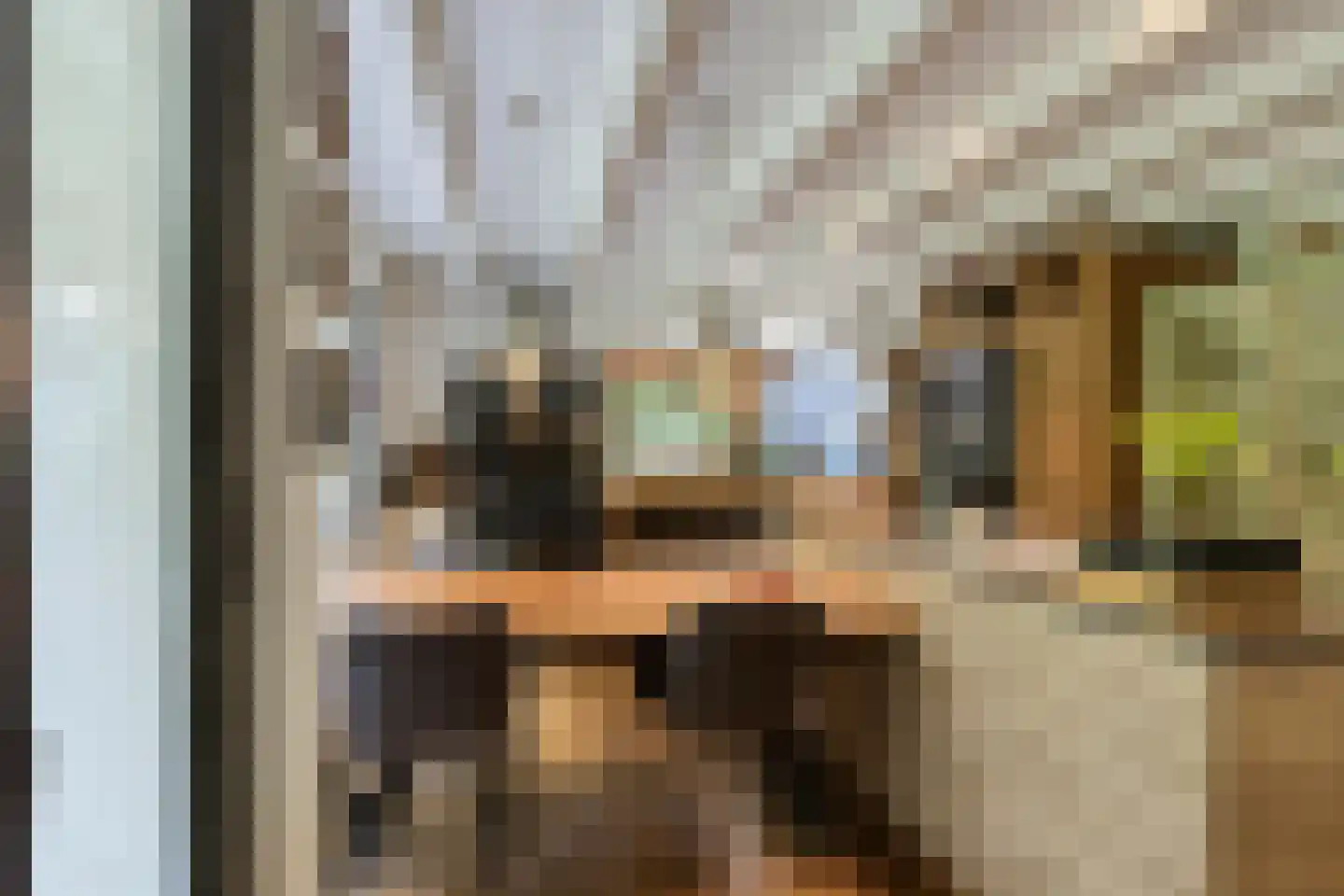 Rauwenhoffweg 8 Epe thumbnail 16