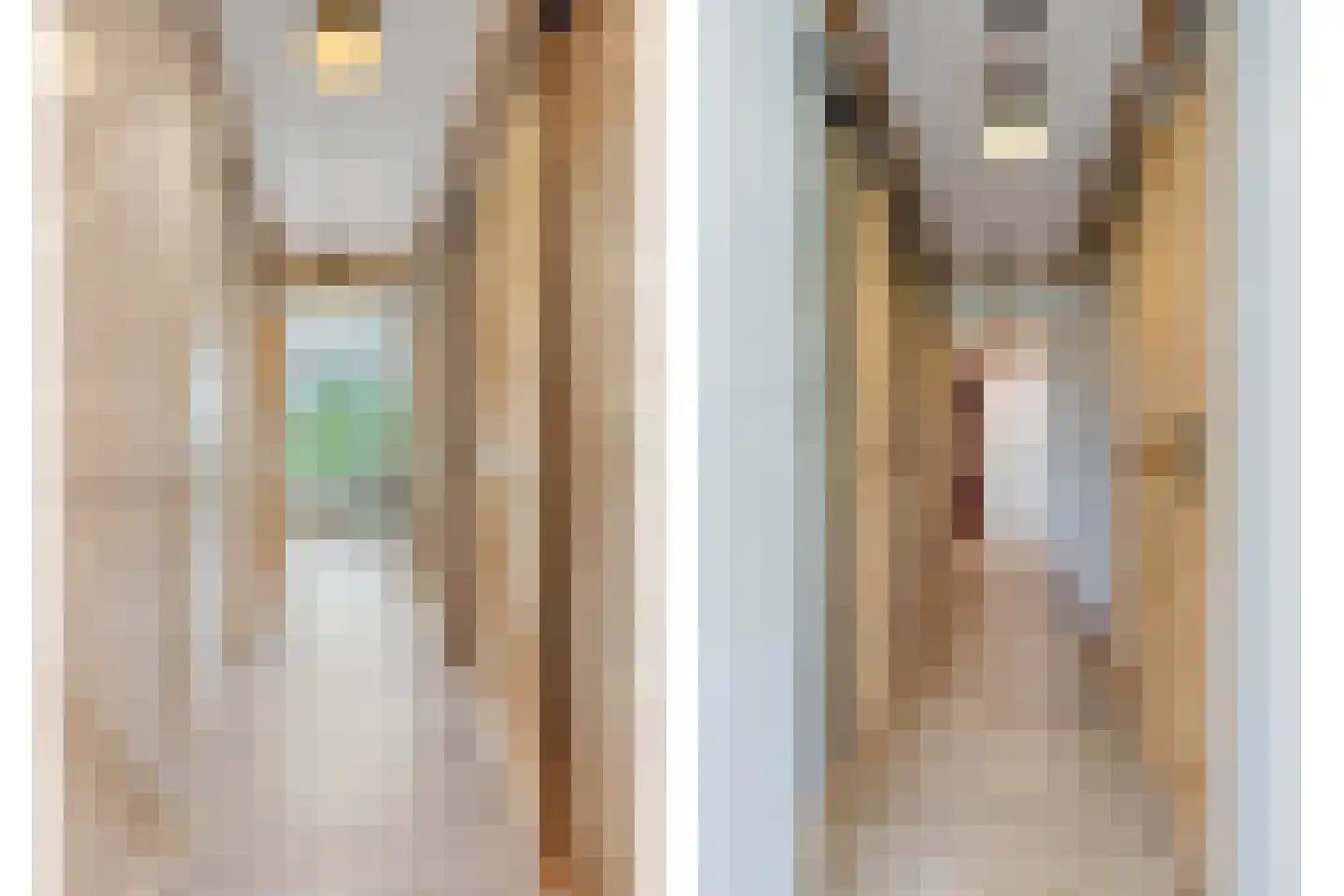 Rauwenhoffweg 8 Epe thumbnail 17