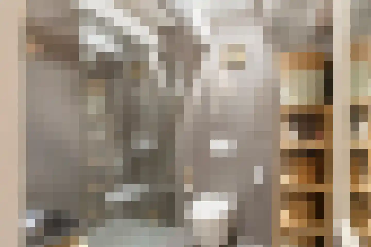 Rauwenhoffweg 8 Epe thumbnail 18