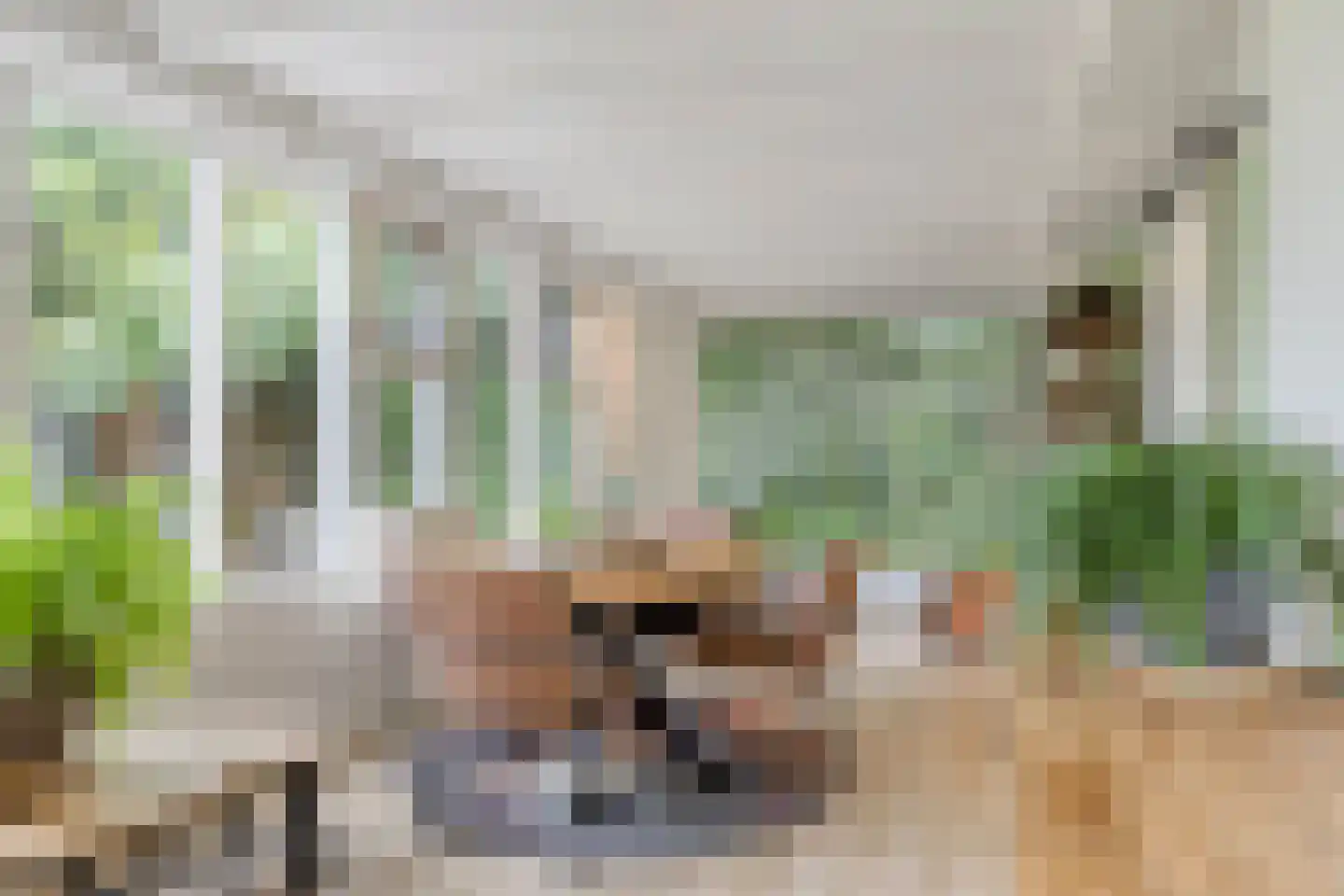 Rauwenhoffweg 8 Epe thumbnail 20