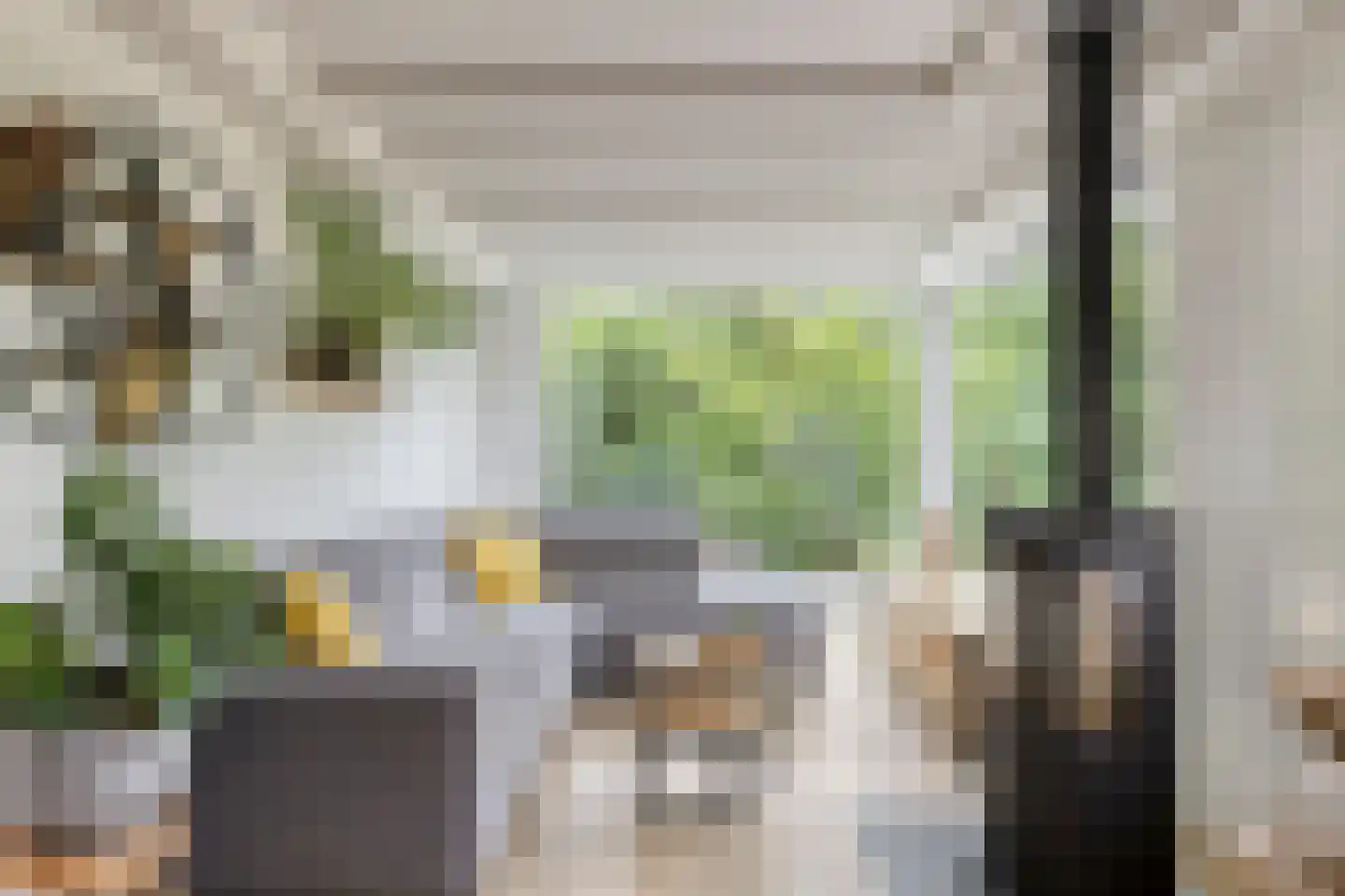 Rauwenhoffweg 8 Epe thumbnail 22