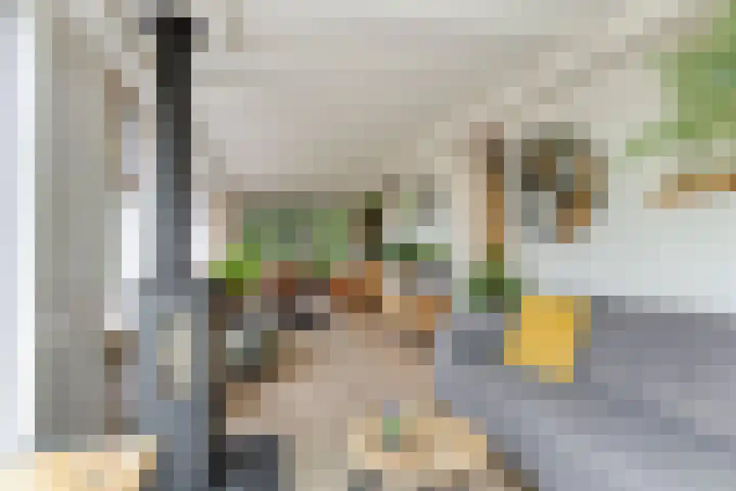 Rauwenhoffweg 8 Epe thumbnail 23