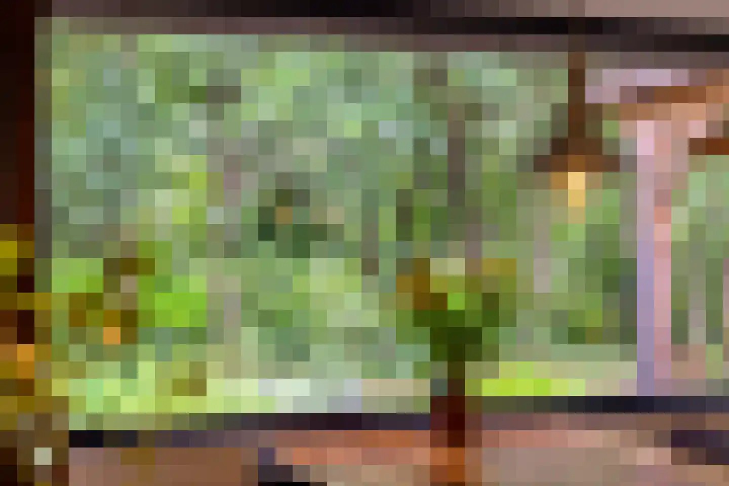 Rauwenhoffweg 8 Epe thumbnail 25