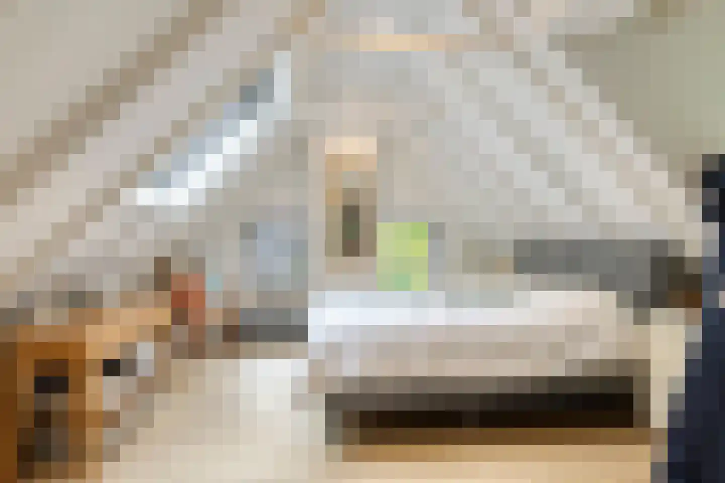 Rauwenhoffweg 8 Epe thumbnail 30