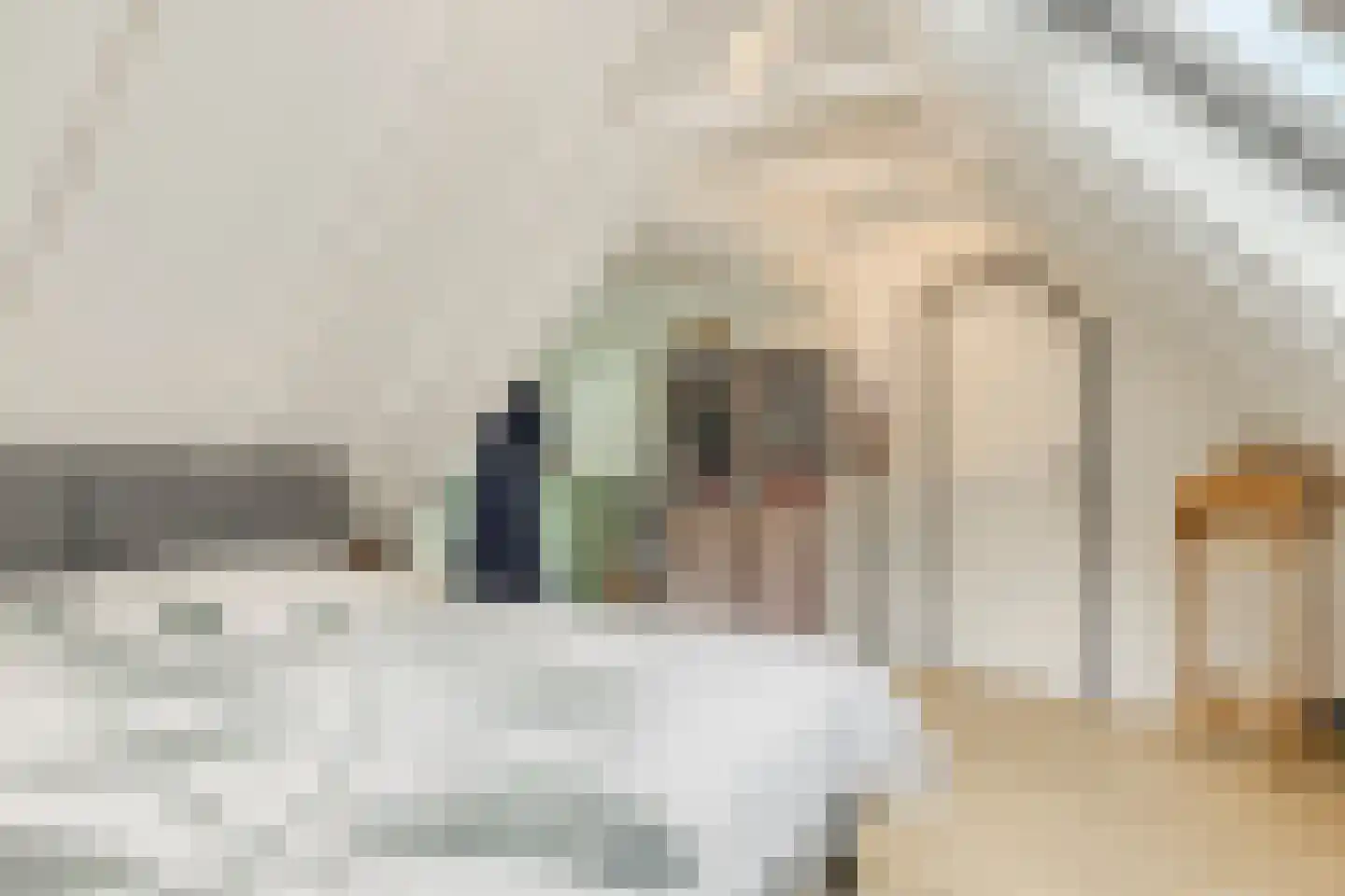Rauwenhoffweg 8 Epe thumbnail 31