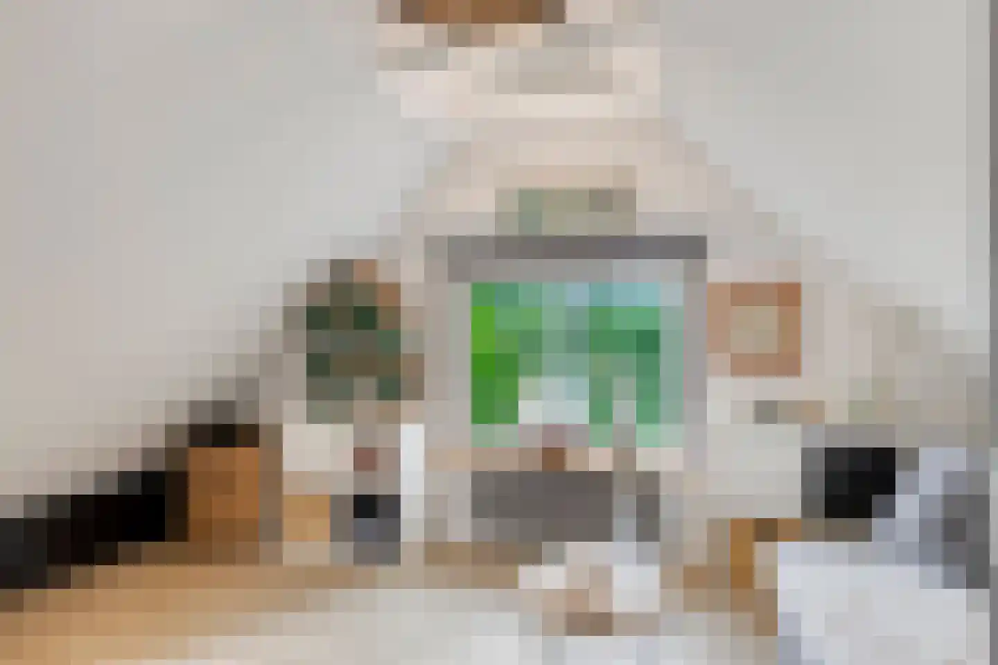 Rauwenhoffweg 8 Epe thumbnail 33